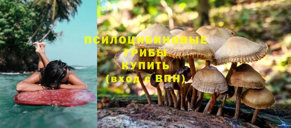 метамфетамин Белокуриха