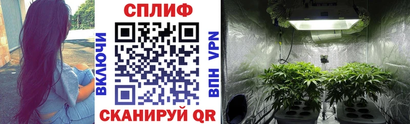 дарнет шоп  Исилькуль  Бошки Шишки план 